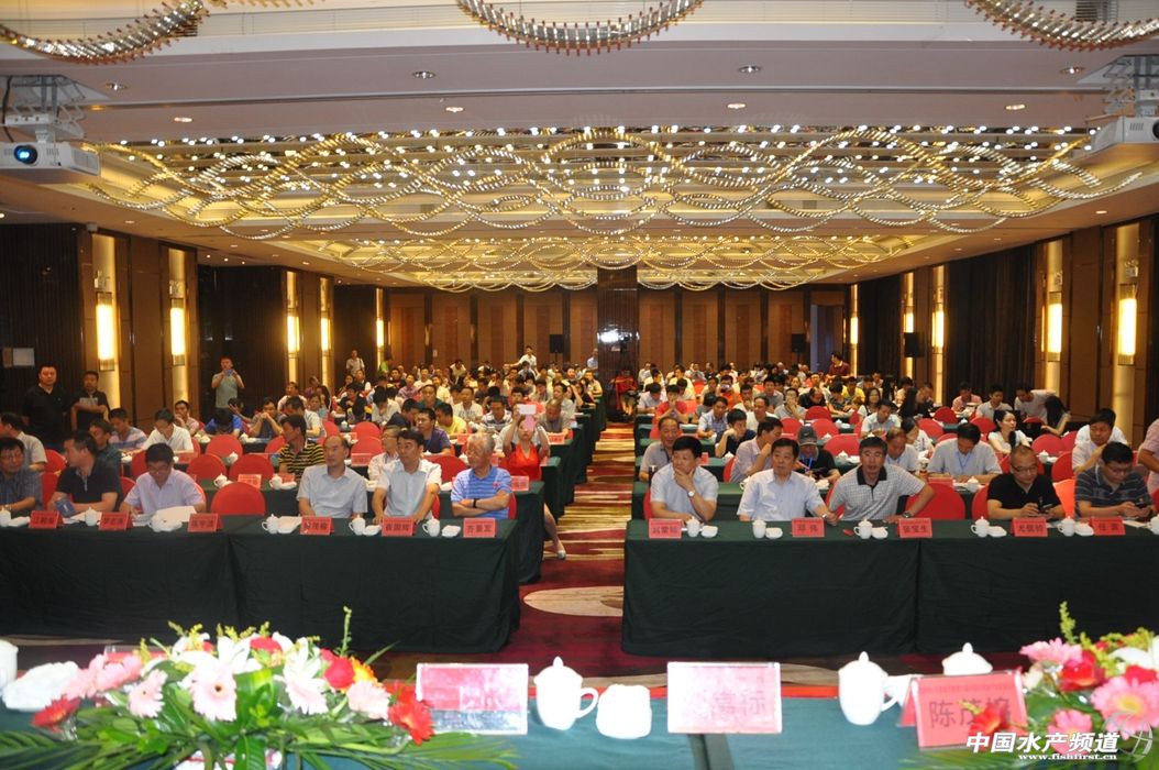 �����W+���S�~����׌���S�~�w�ø��h��