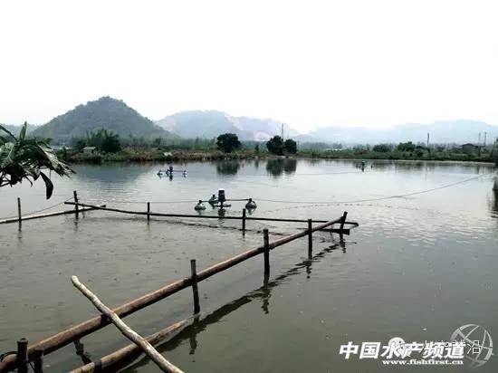 ����â��΢��ˮ���~�_���~���Bģʽ