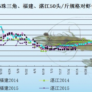 ���r��߅�r��Ҏ(gu��)�񅢲�R  �r����