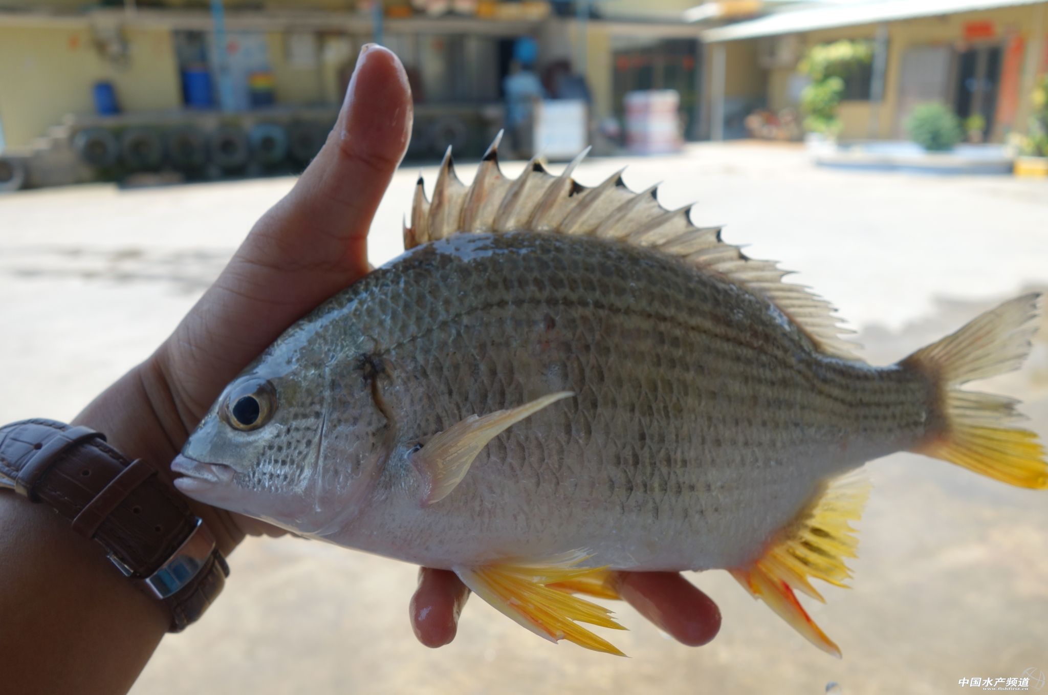 �����I�Ӿo��4�f���S�������Ј�����