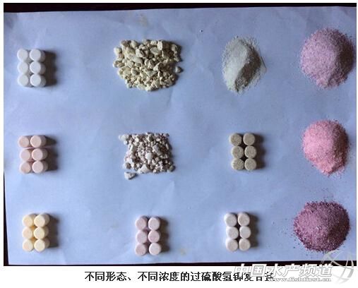 Ԕ���^�����⛡������������