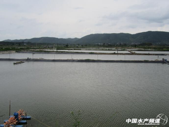 �V�����r�j���ѬF  �J������Ͷ������E�p