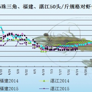 ���r�r���܈󣺳��m��������  �r�r���ϝq�E��