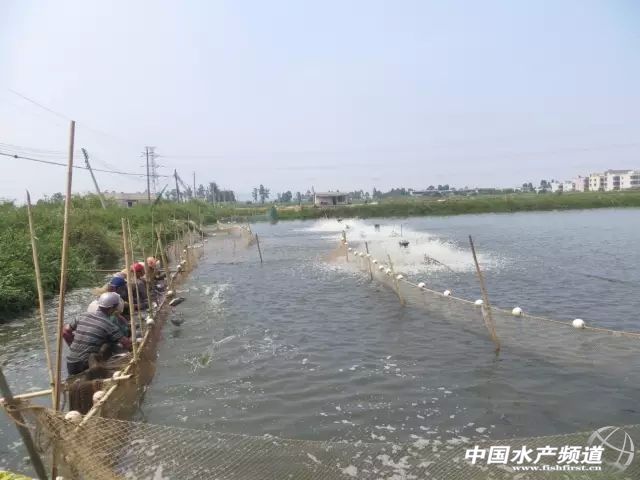 ƽɳ�_�����Ј��A���»�4�ɣ����󸂠�����