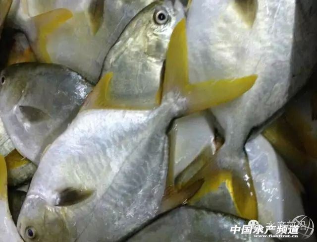 ���m���������Fɽ�۽��K�~�l���p��