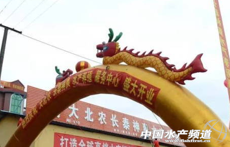 ���r�ھżҷ��������_�I ���������~���Ј�