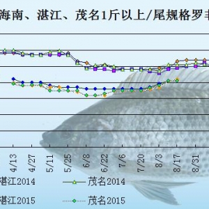 �_���~�r���܈󣺹������١��B��ϧ��     �~�r�����Нq