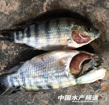 �_���~�~�N�wù����������ԓע����Щ���}��ֹ�Ͱl