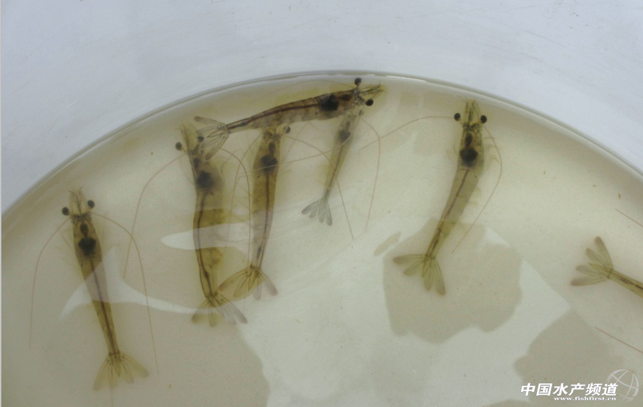 �����Ԍ��r��ϵ���Փ���A�c�䷽���`