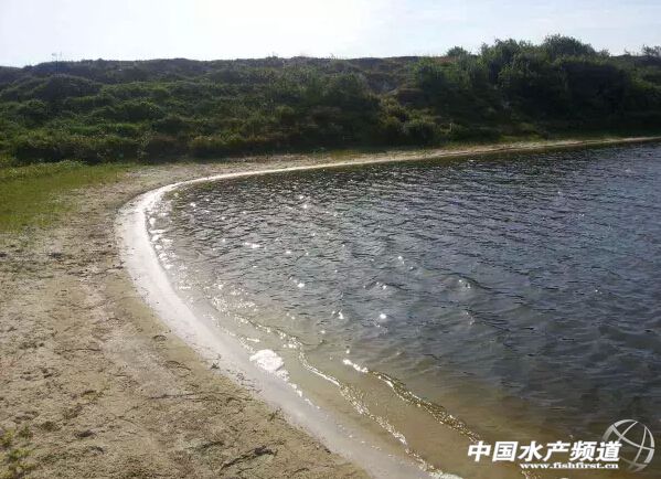 �_��δ�_����r���κγ��m�ߜ��B�����ȳ��~