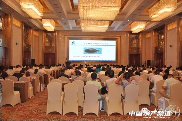 �a�~Փ��⠫I���~Ԫ�����������w��Ѫ�·���