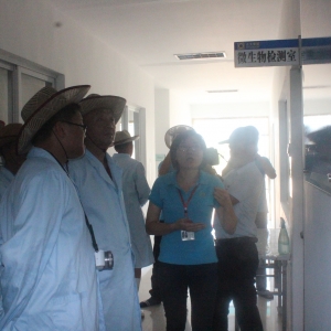 ���󲷷䱊��С�������󝓲����ӵ��̘I�\�ԣ�