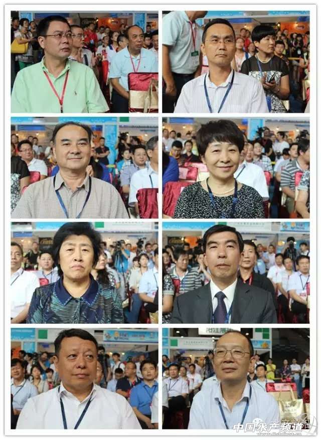 2015���Ї��V�ݝO�����_Ļ�����c�����