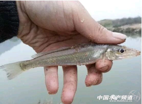 ���[�^���B���r�����ٿɄ���45�|Ԫ�aֵ