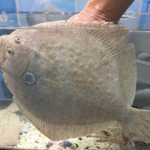 �d�Ƕ����~���S�a�������C������ȫ���鿴�Bֳ�^��