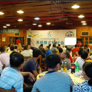 �������Ϳ�Y���Q���Dι��ϣ������Ȳ���������