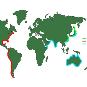 �߹����r��݃��ͣ��������������С�����ô�f