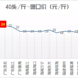 �����׌��r�������ڃr�ϲ���