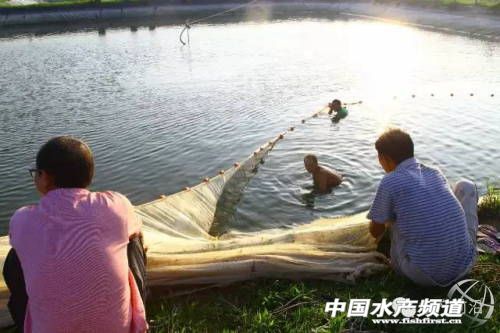 ɳ�F�~���}��ˮ�����Bֳԇ򞣺���������f��