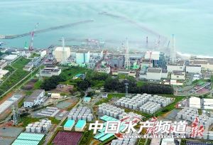 ���u���ź���ˮ�뺣 ���������������Ⱦ