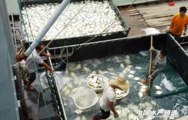 ������K�~�ИI���I���Ј��D���u���Ј�