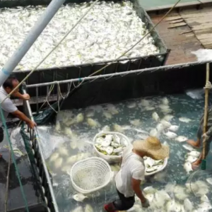 ������K�~�ИI(y��)���I���Ј��D(zhu��n)���u���Ј�