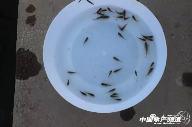 �_���~������ᡱ���Ǽ���