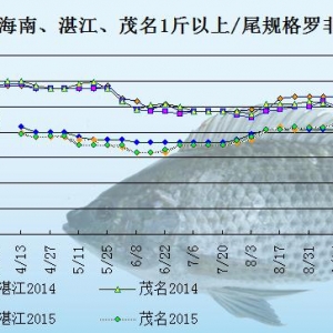 �_���~�r���܈����w�N���� �����~�r�y�q