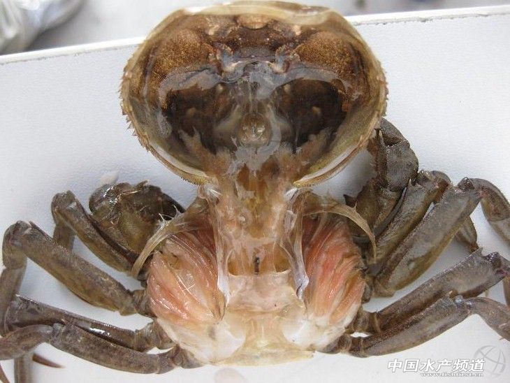 ���������зˮ�T�Ӳ�����ԓ���@�巽���A��