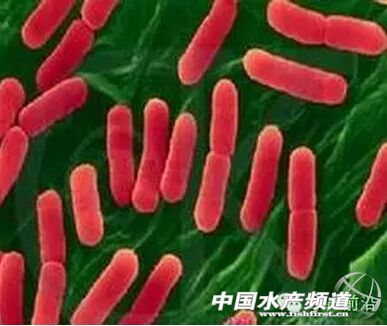 ����N������EMS�²������ڹ��ϻ����Йz�y