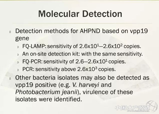 �Ї��ƌW������l�F���ϻ�����EMS�²�����