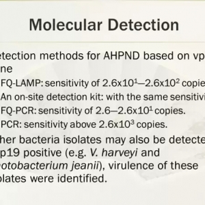 �Ї��ƌW������l�F���ϻ�����EMS�²�����