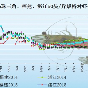 ���r��߅�r���������M�s�p  �����r�r���Ӳ���