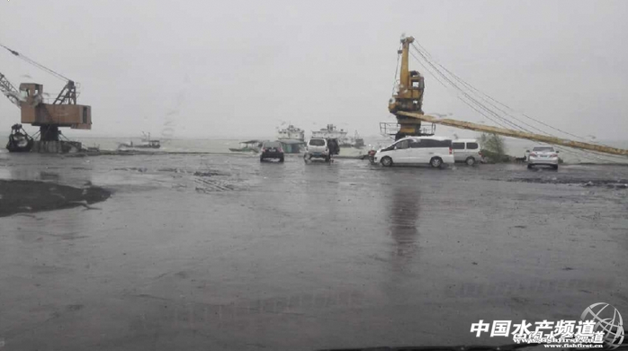 �����_�L���ʺ硱����տ���r������؄�