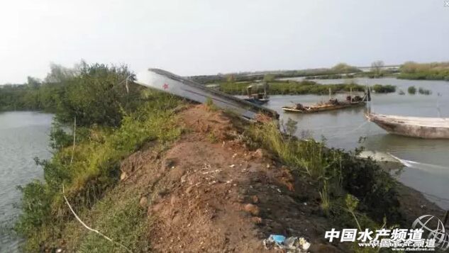 ���_�L���ʺ硱���A��ˮ�a�IӰ푳����u��