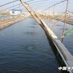 ��|�����׌�(du��)�r�B(y��ng)ֳ���֣���(y��ng)ԓҪ�@����