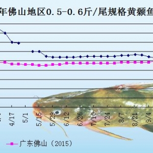 �S��~�r���܈�:�������Mƣܛ  �~�r���л���