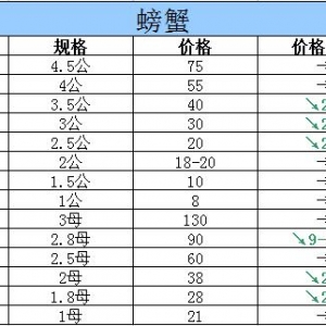 2015��10��4���|���P�\��з�r������