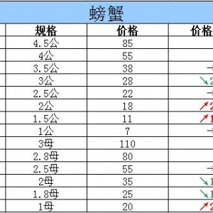 2015��10��9���|���P�\��з�r������