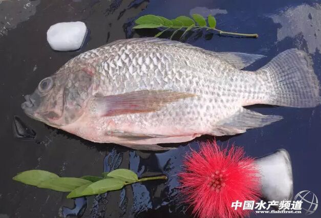 �״�ӹ���I�������_���~���ڳ��m����