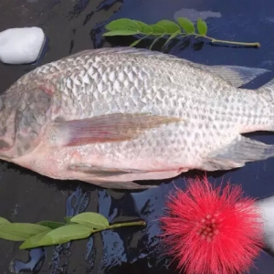 �״�ӹ���I(y��)�������_���~���ڳ��m(x��)����