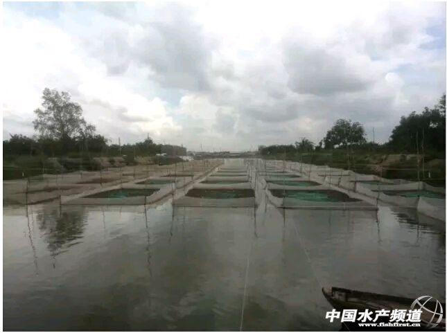 Խ���B�ܸśr���F�����