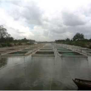 Խ���B(y��ng)�ܸśr���F(xi��n)�����