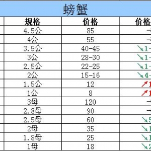 2015��10��11���|���P�\��з�r������