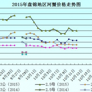 2015��10��12���|���P�\��з�r������