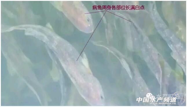 2015���ϰ��ꌎ�¾W���Bֳ���S�~��Ҫ�����{��