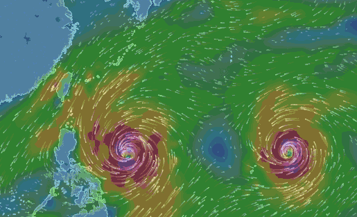 ���޾������Ȍ������F���lʽ���L