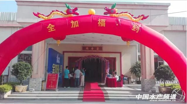 ����ȫ�Ӹ��������|�Ͻ����N��������5ǧ��