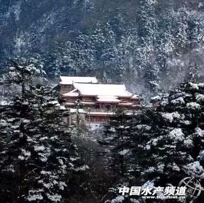 08����䶬���٬F?ˮ�a�Bֳ����������ǰ�ղ�