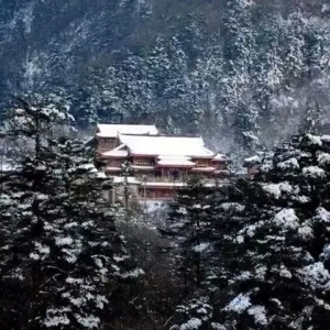 08����䶬���٬F(xi��n)?ˮ�a(ch��n)�B(y��ng)ֳ����������ǰ�ղ�